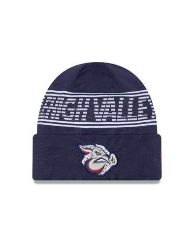 Lehigh Valley IronPigs Authentic Collection New Era Knit Cap