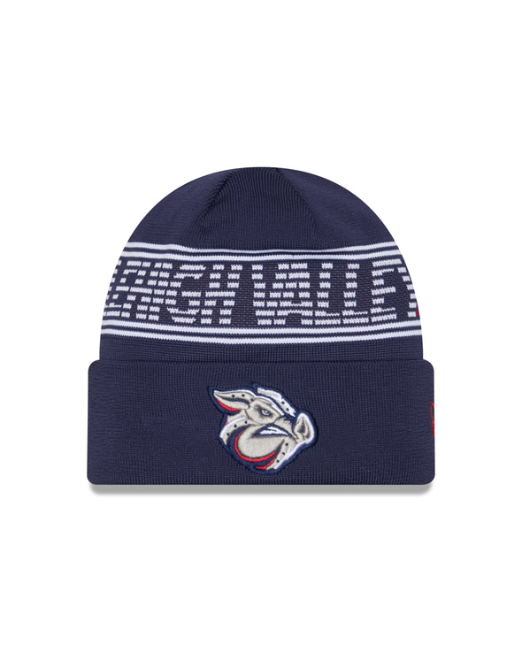 Lehigh Valley IronPigs Authentic Collection New Era Knit Cap