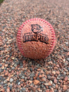 Lehigh Valley IronPigs Dirtball Baseball