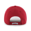 Lehigh Valley IronPigs 47 Brand Bacon MVP