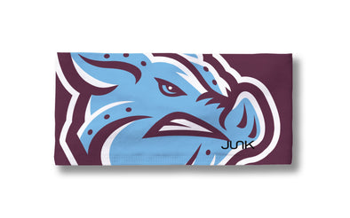 Lehigh Valley IronPigs Sunday Headband