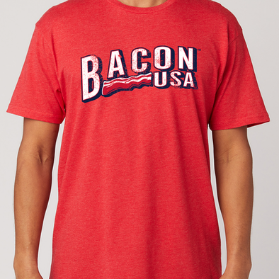 Lehigh Valley IronPigs MiLB '47 Brand Women's Bacon Scrum V-Neck T-Shirt New
